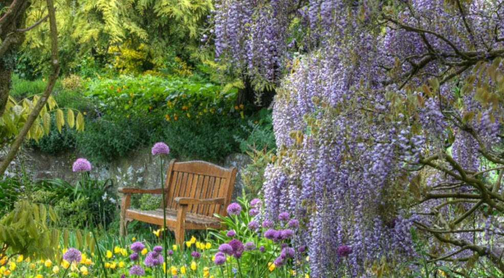 Marwood Hill Gardens , , United Kingdom
